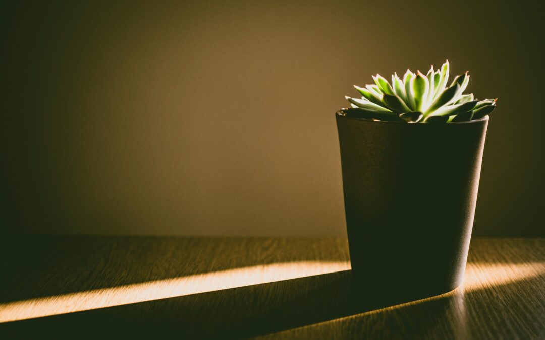 MINIMALISMO TEM FIM? DESCUBRA O QUE NINGUÉM CONTA SOBRE O DESAPEGO